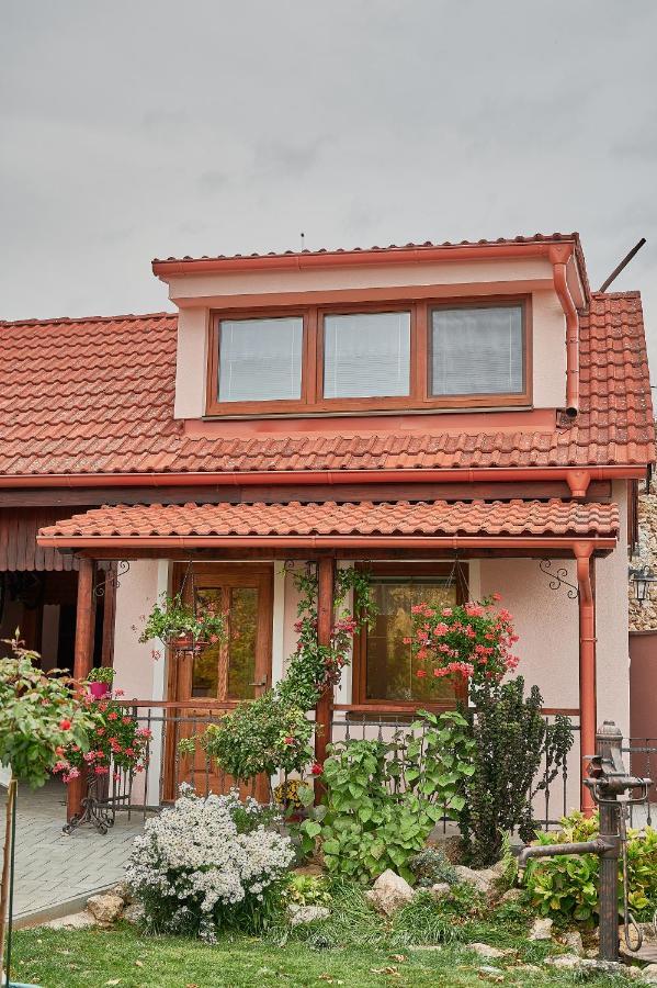 "Na Skale " Apartment In Center, Free Parking Bojnice Exterior photo